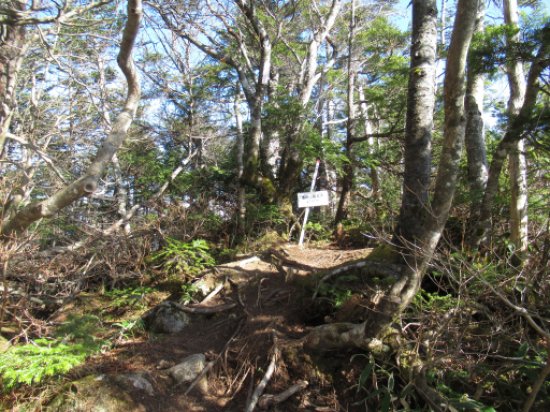 恵那山最高地点
